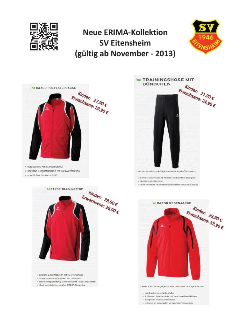 Flyer Training 2013-11 neu