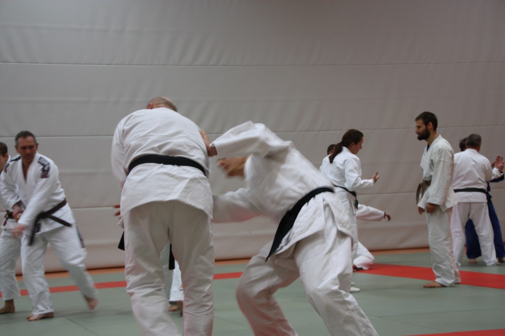 Ausführung Kipphandhebel